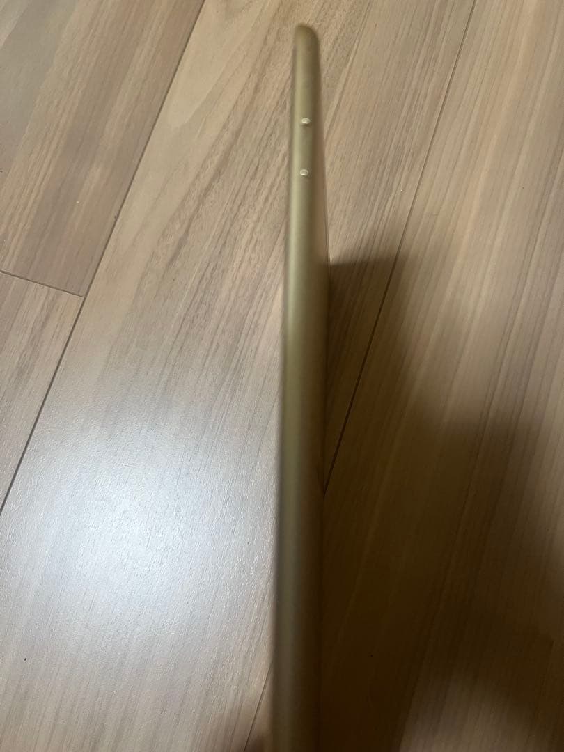 Apple iPad Air2 ゴールド 本体 64GB cell+Wi-Fi