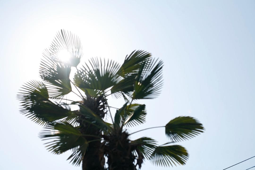 フィルムカメラ PENTAX SMC TAKUMAR f1.4 50mm M42 L79