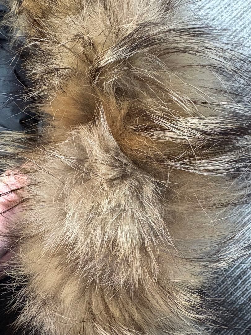 カナダグース　チリワックボンバー　  ダウンジャケット