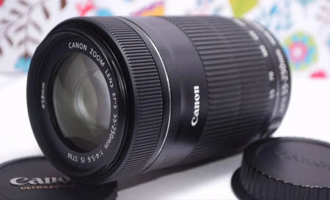 キャノン⚫︎Canon EF-S 55-250mm F4-5.6 IS STM