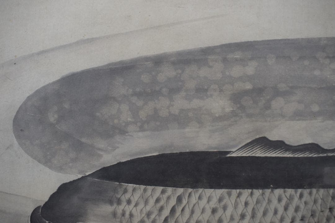 円山応挙/圓山応挙/鯉之図/掛軸☆宝船☆Y-486　JM