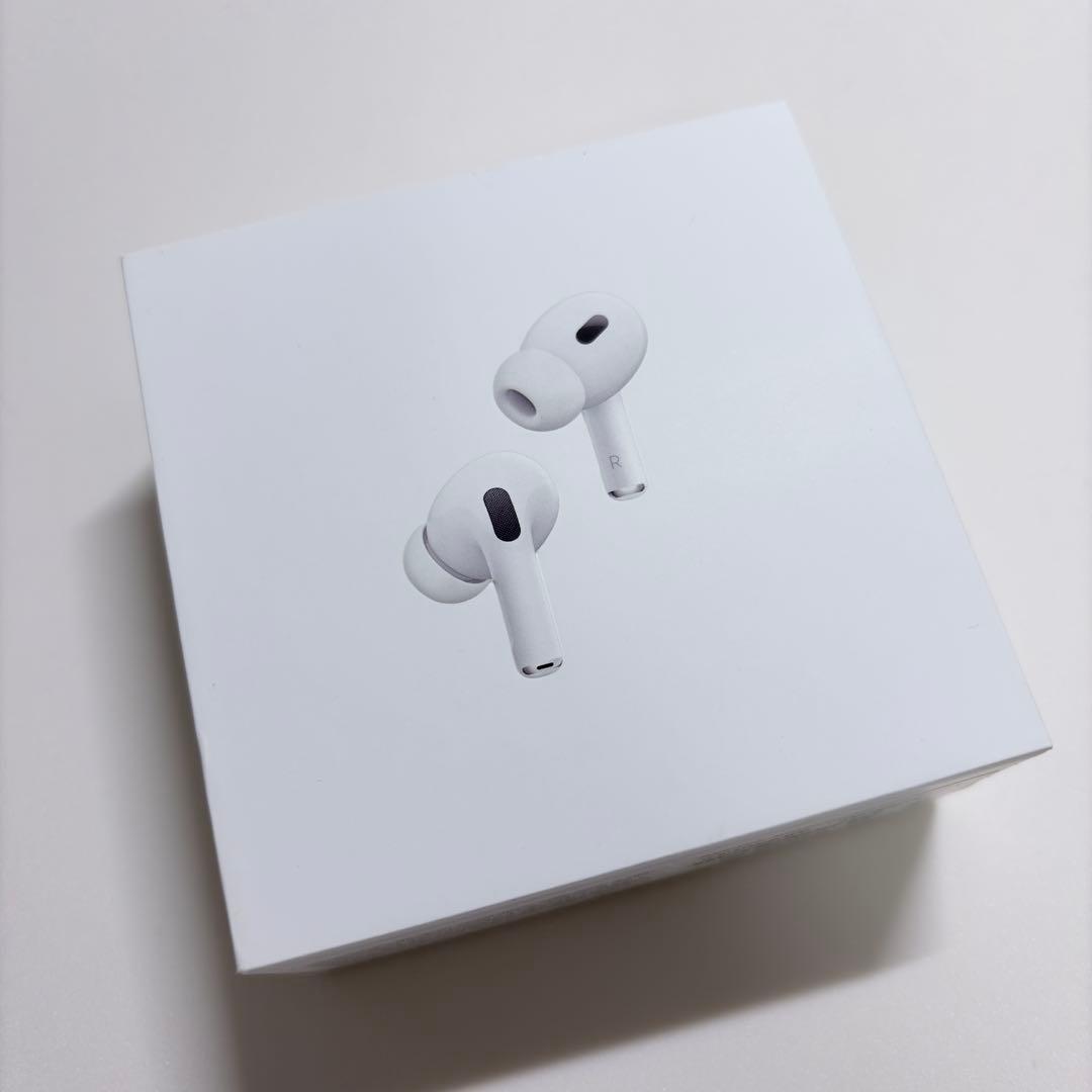 【PANTON448C】AirPods Pro2・全備品+オマケ付き