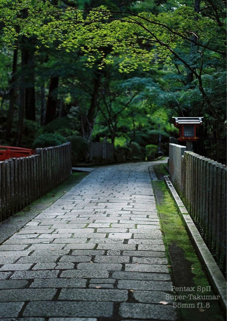 ★pentax sp Ⅱ +タクマー1.8★完動＊美品＊初期保証＊本革外装