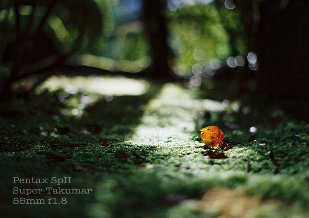 ★pentax sp Ⅱ +タクマー1.8★完動＊美品＊初期保証＊本革外装