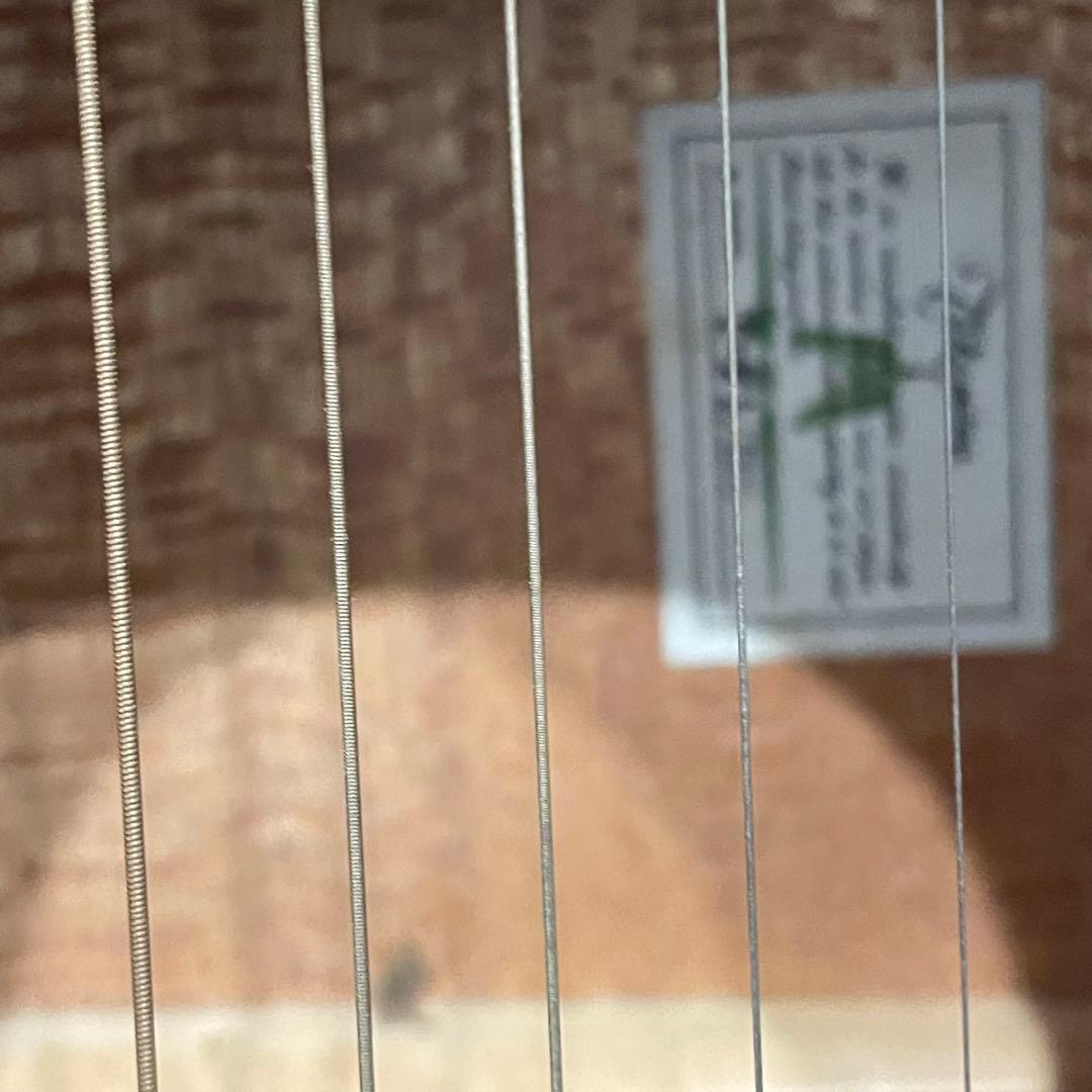 Takamine アコースティックギター サンバースト