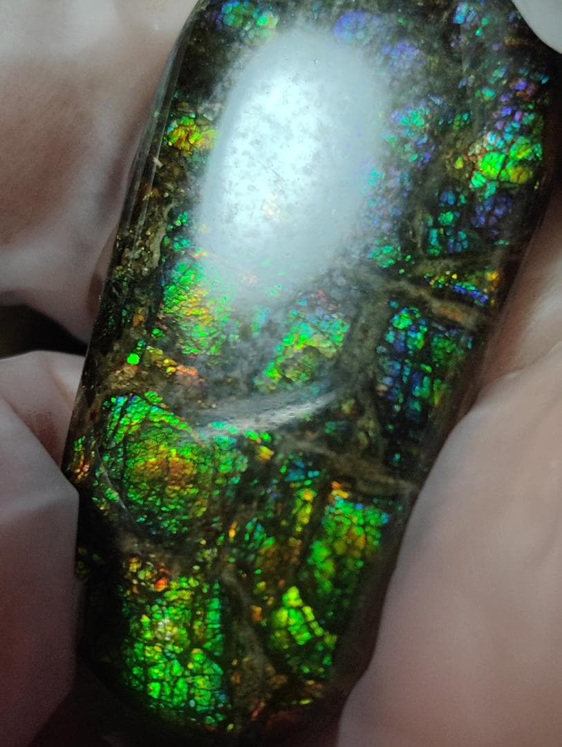 アンモライト　ルース　最後の画像２枚裏面発色　24-0735 39000