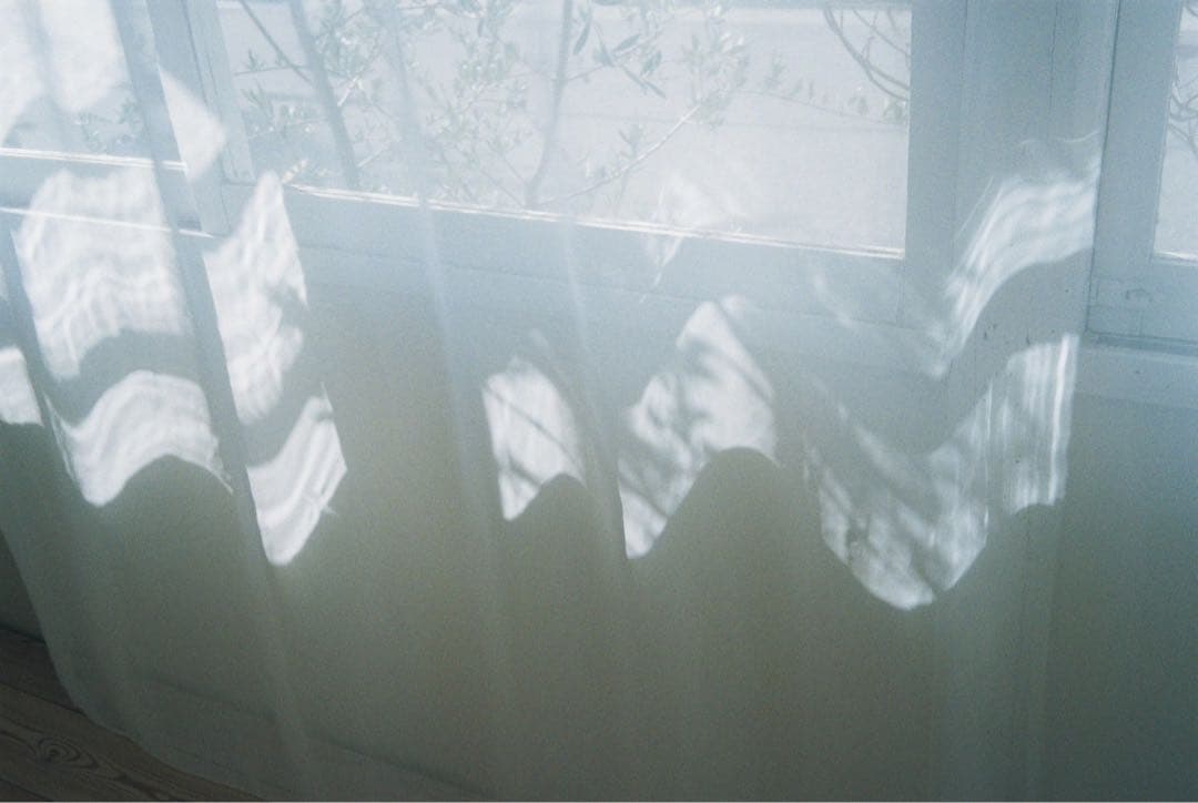 【美品/新品級】FUJIFILM NATURACLASSICA ナチュラクラシカ