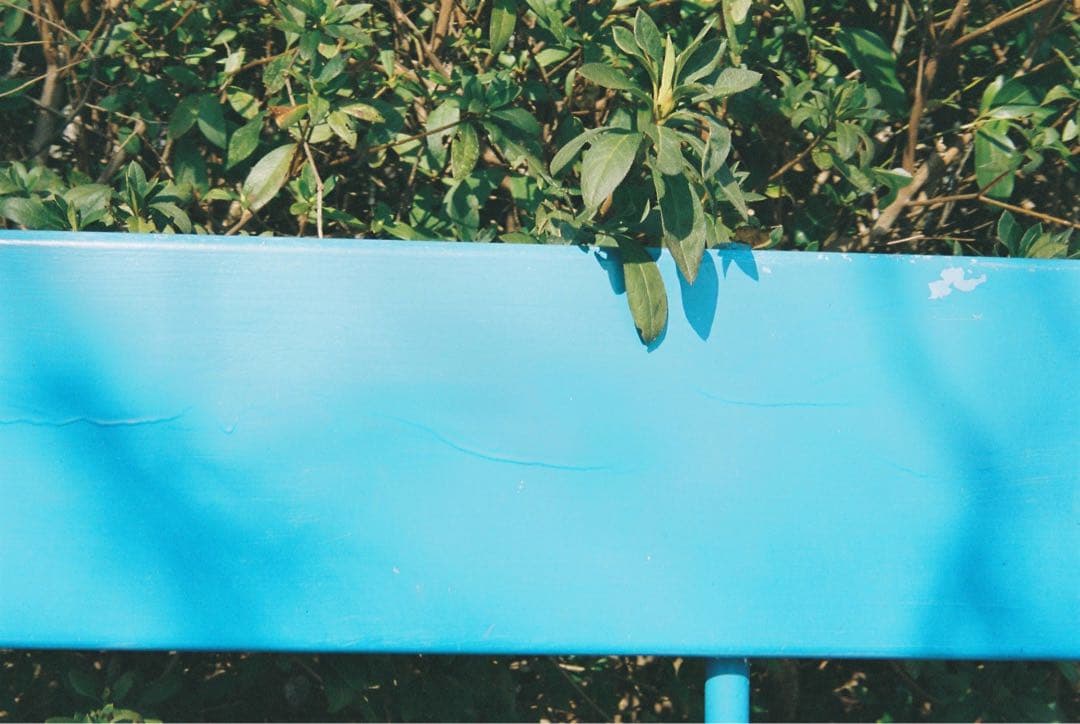 【美品/新品級】FUJIFILM NATURACLASSICA ナチュラクラシカ