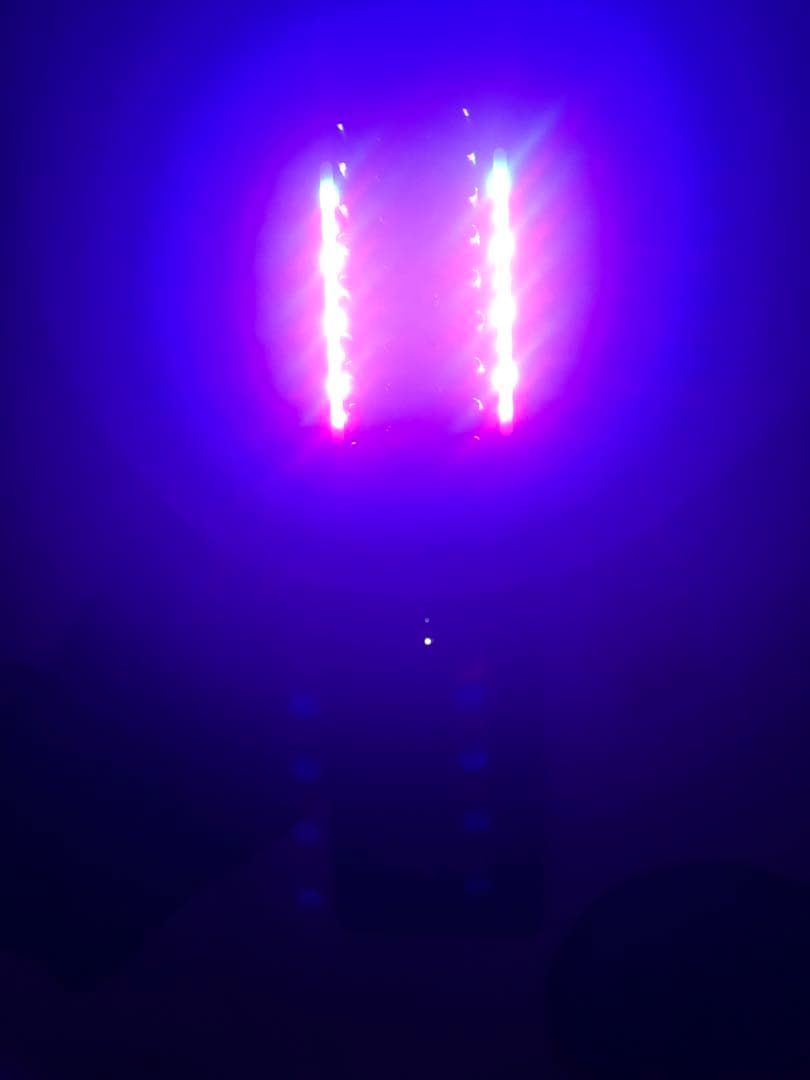 Bright エレキブラシのみ