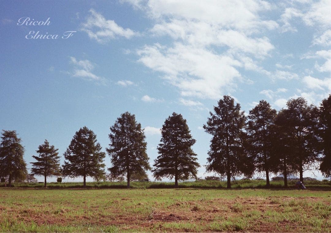 希少品！超美品！完動品★リコー elnica f★フィルム入門＊初期保証＊試写済