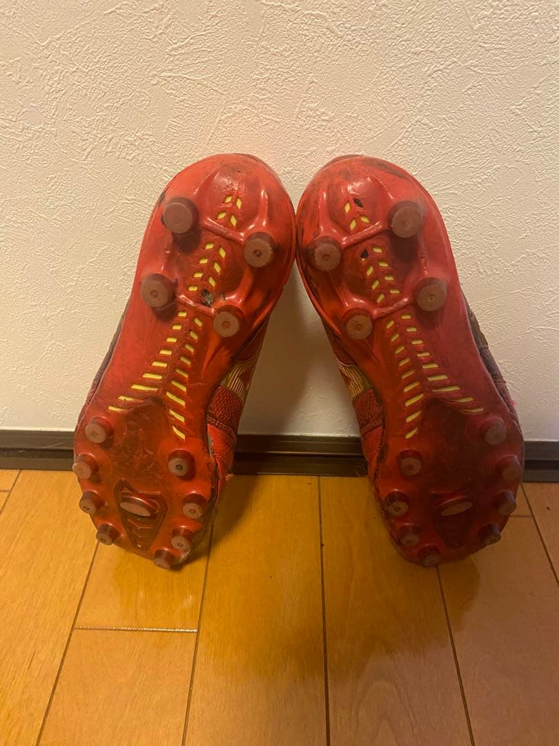 モレリアベータ25、5cm