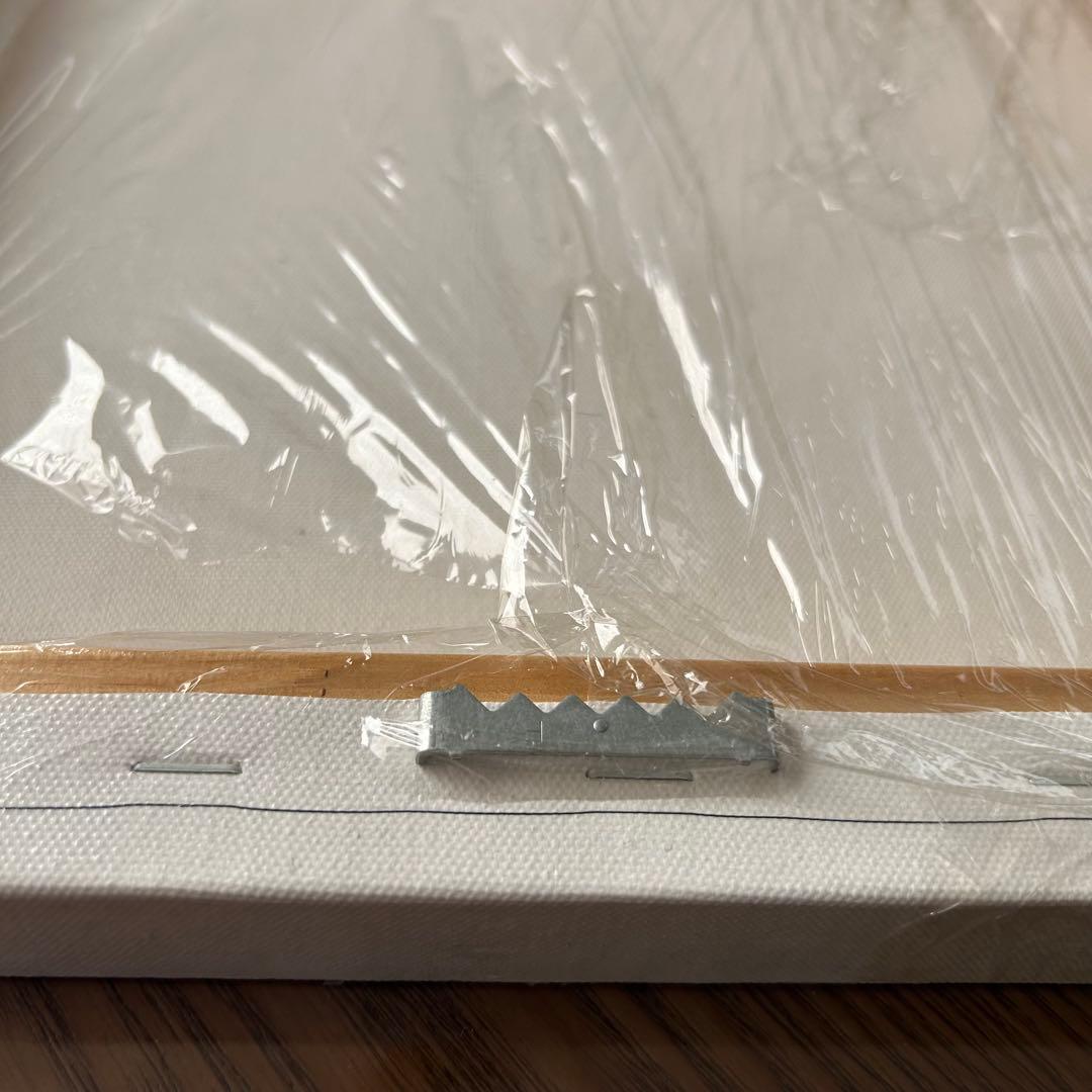 お値引きいたします‼️Aloha! Hawaii SNOOPYキャンバスアート