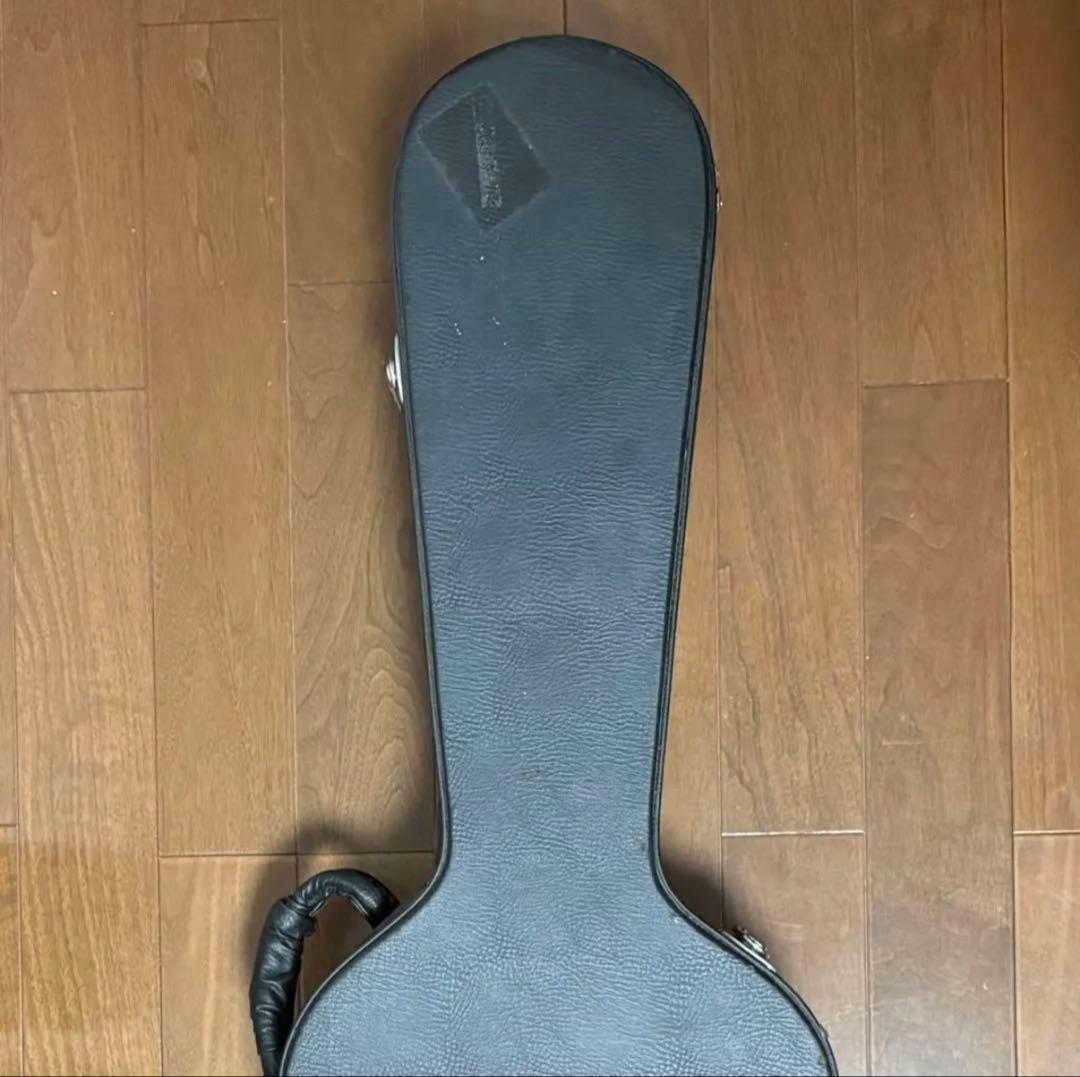 PRS SE A15AL ALEX LIFESON ThineLine エレアコ