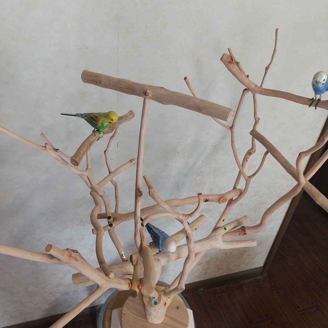 マロ小鳥の楽園バードアスレチックツリージム③