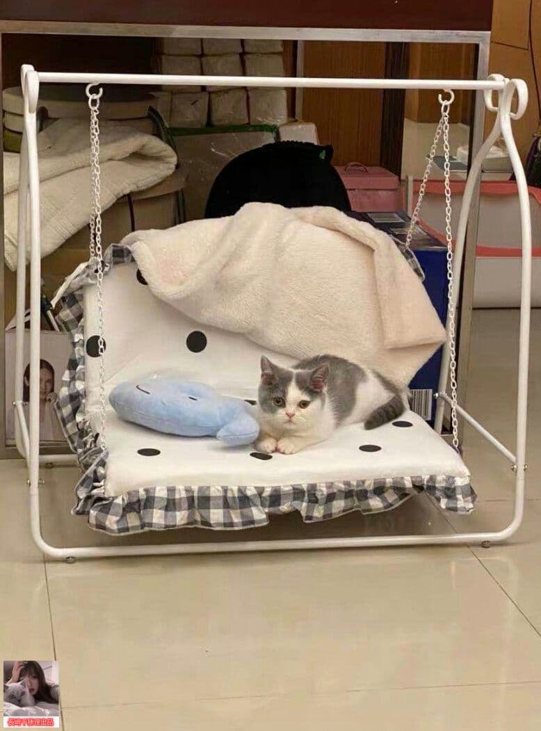 ングチェア用の小型犬や猫グッズのぬいぐるみを解体することができる7