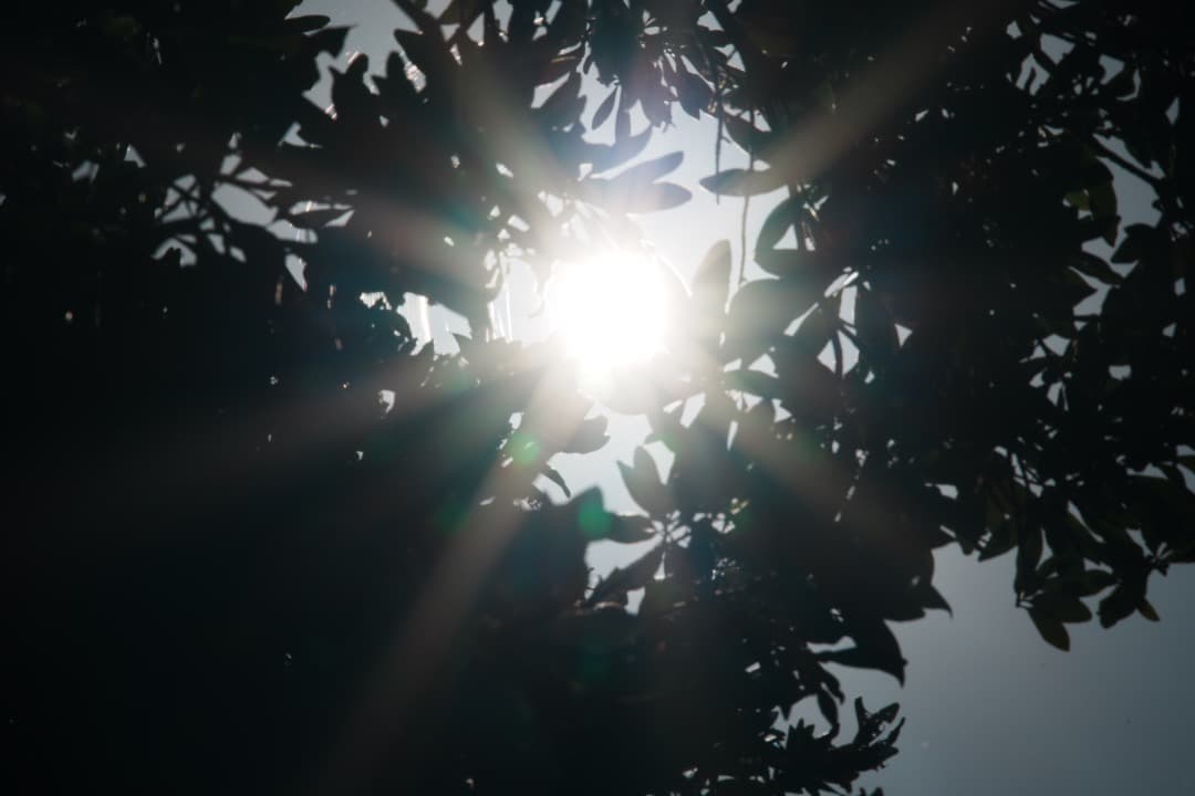 整＆テスト Nikon Ai-s Nikkor 180mm F2.8 ED 53