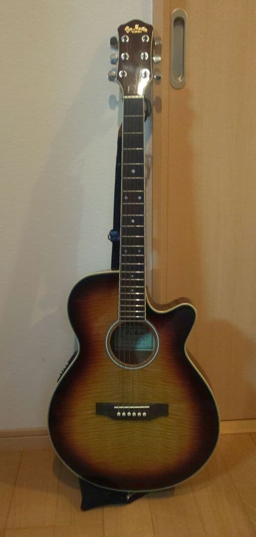 promartin ea500w vs エレアコ　ギター