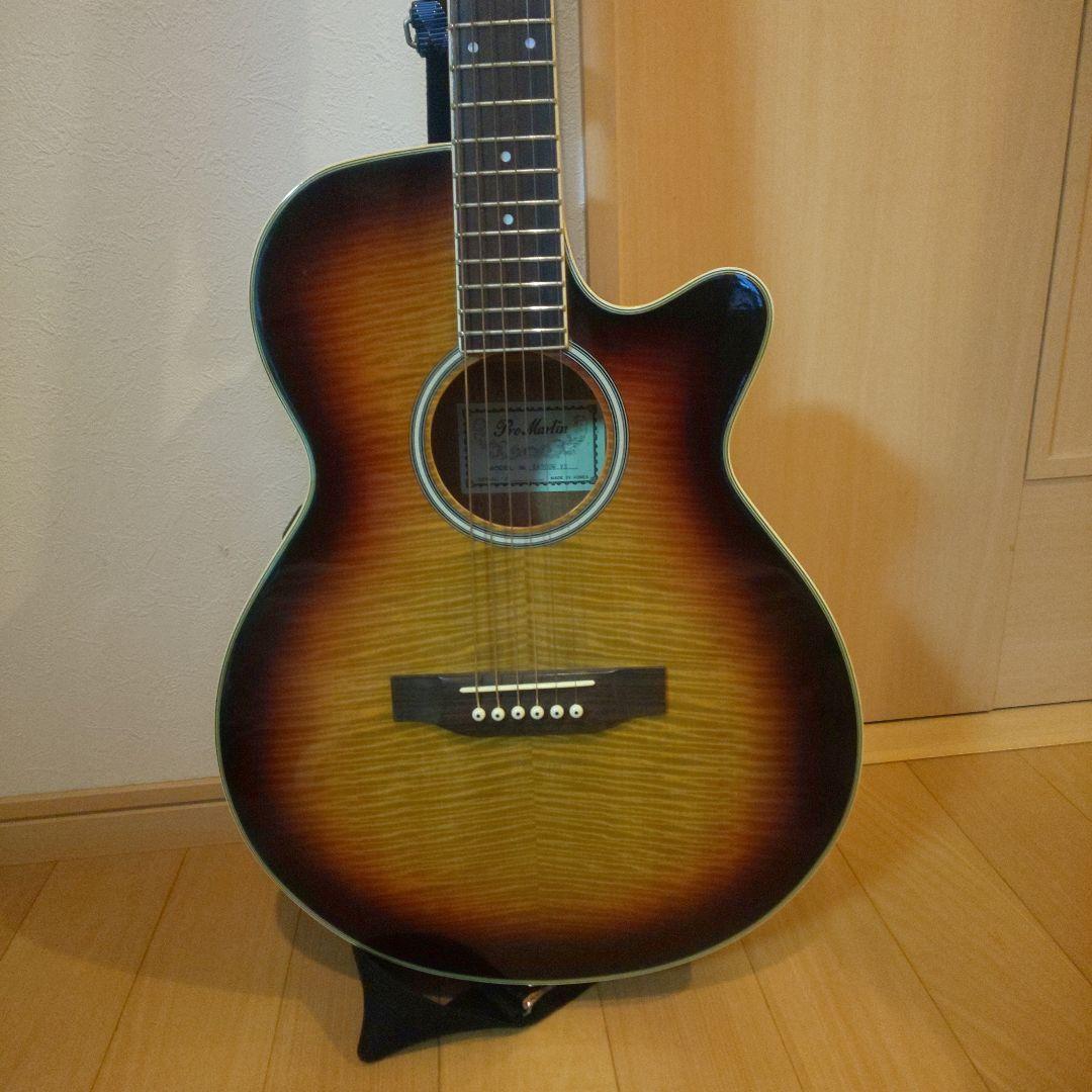 promartin ea500w vs エレアコ　ギター