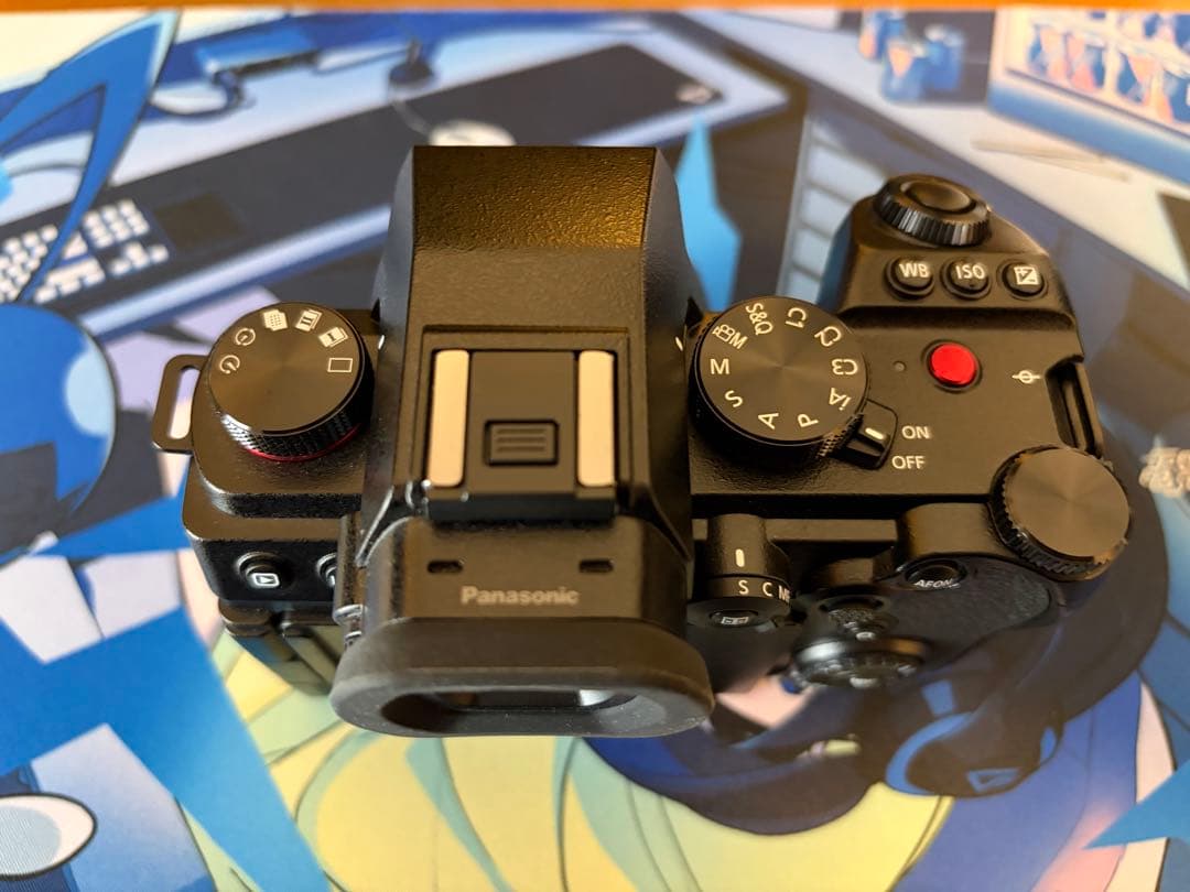 Panasonic Lumix S5Ⅱ (DC-S5M2)多数オプション＋保証書