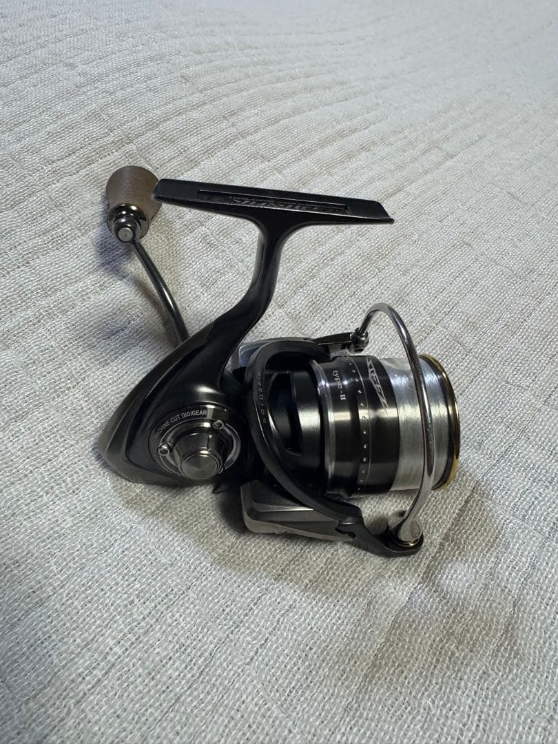 ダイワ STEEZ type-II