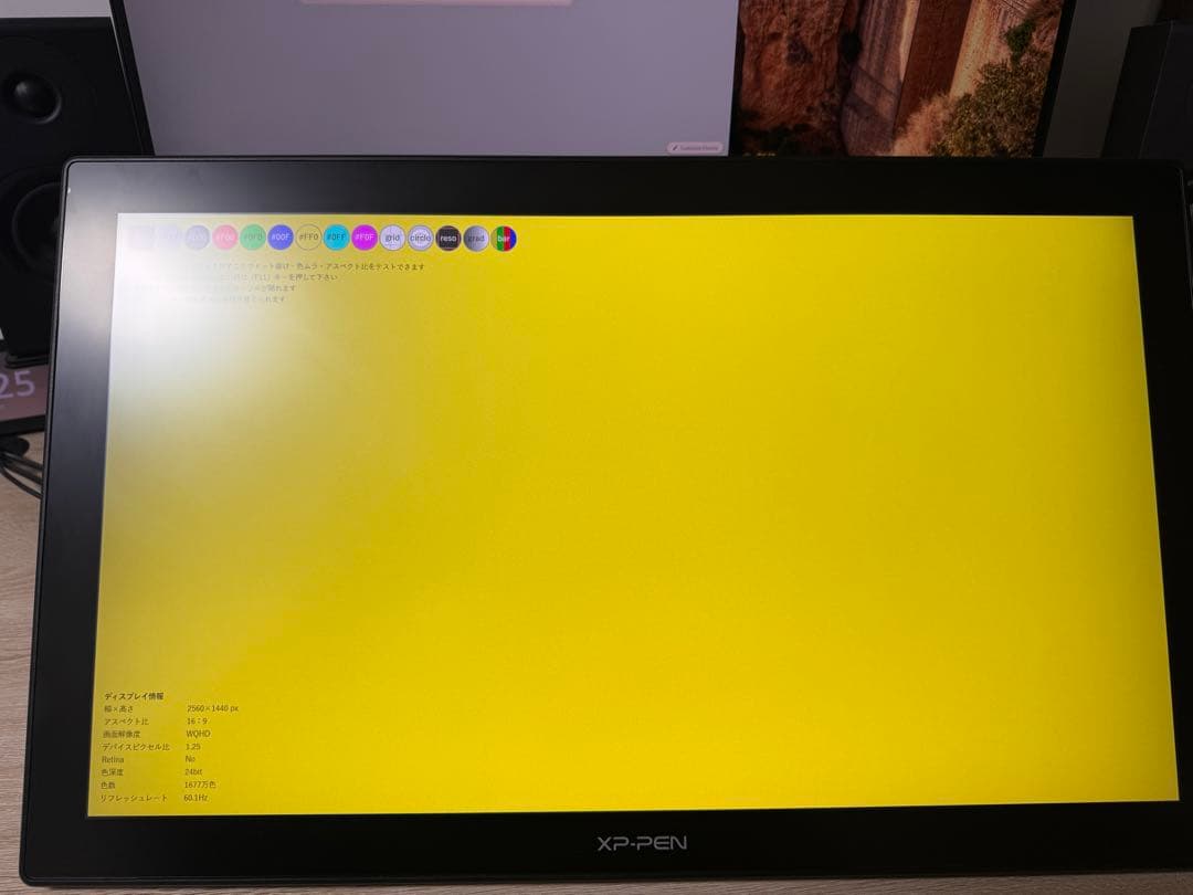 液タブ・ペンタブ XP-PEN artist24
