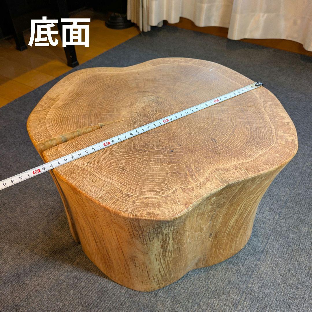 3104　　ミズナラ　水楢　天然木　切り株　丸太　輪切り　高さ約28㎝