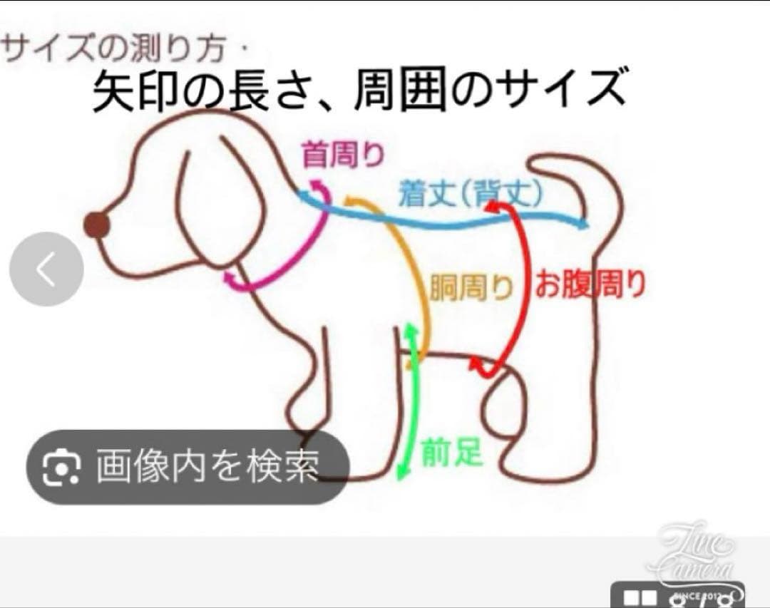 pon2pan2☆ CHOCOさま
