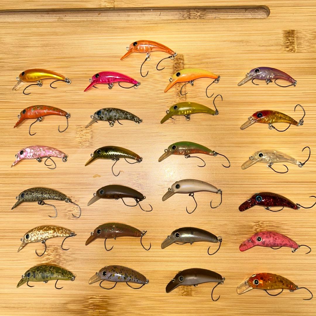 ムカイ　トレモ　F 25個