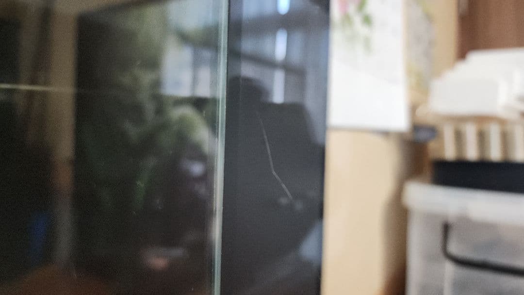 Rainforest 600×300×450