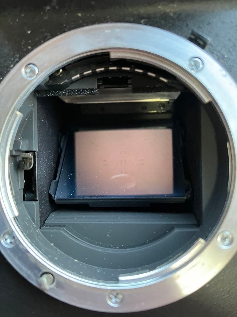 Nikon F100 一眼レフカメラ 35mmフィルム