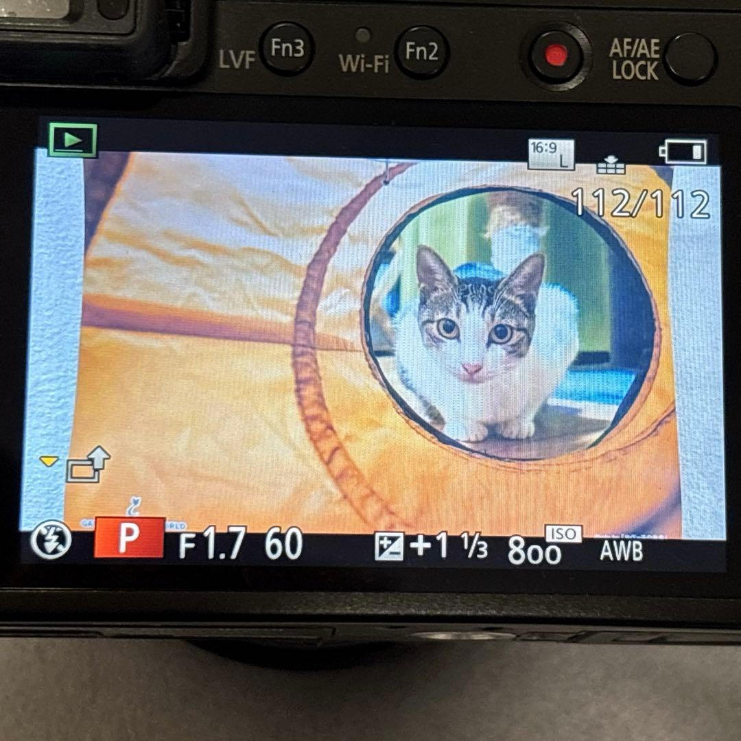 デジタルカメラ LUMIX DMC-LX100ライカレンズ Panasonic