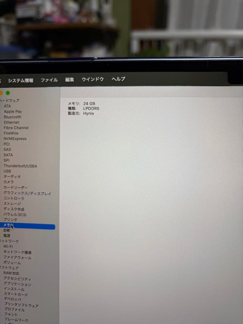 MacBook Air 2025 M4 24GB 1TB スカイブルー中古