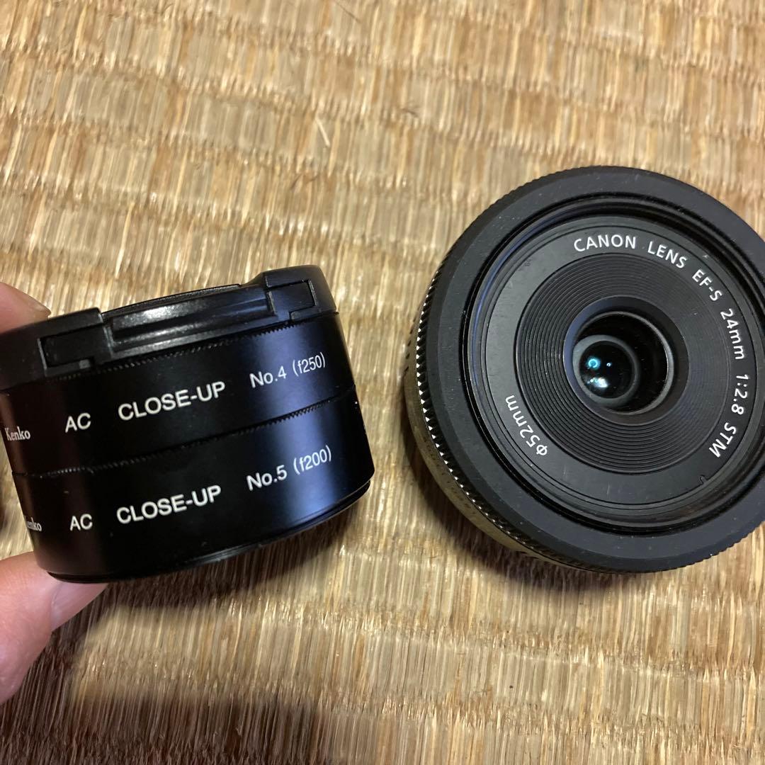 Canon EFS 24mm マクロレンズ＋ Kenko クローズアップレンズ