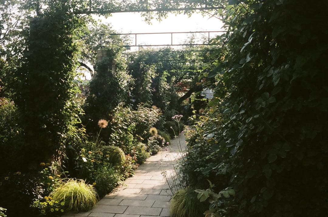 光学美品　minolta HI-MATIC F