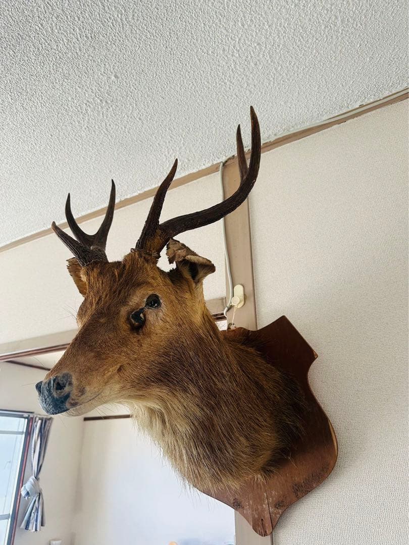鹿のオブジェ