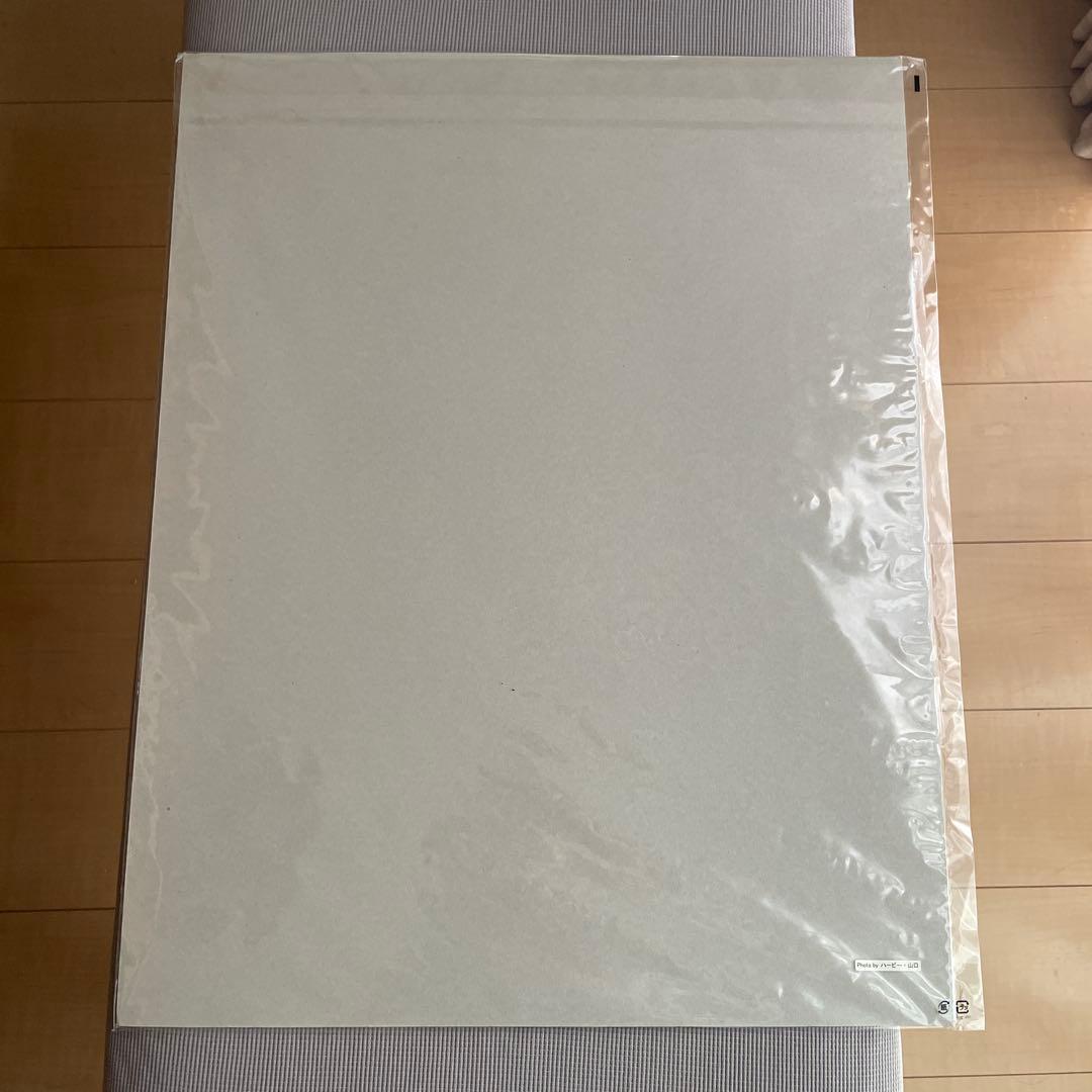 ディズニー　篠山紀信　特大　フォト