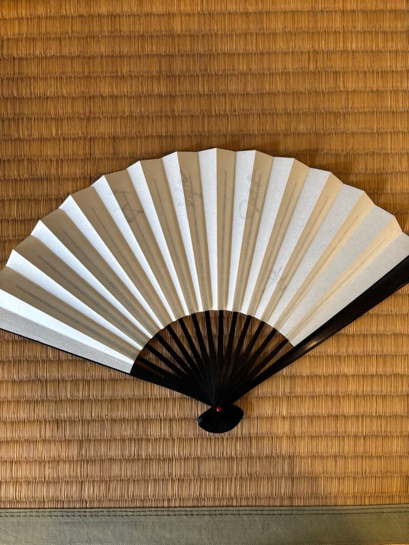 茶道 扇子 「千年青 」坐忘斎お家元筆　10本セット
