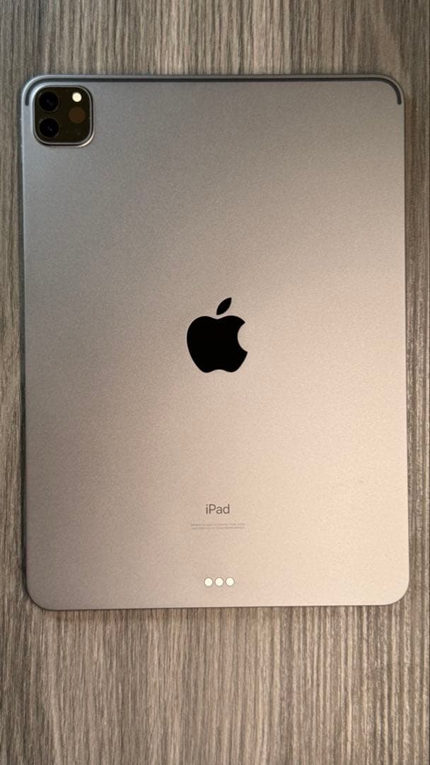 【12月末まで】iPad Pro Wi-Fi 256GB 第2世代 ペンセ