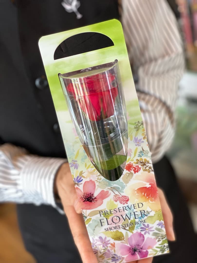 Tea Forte 紅茶 ティーフォルテ ティーテイスティングダブル ２０個