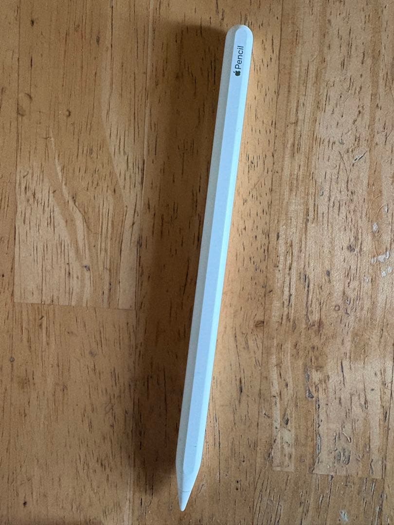 ブラック iPad本体 Apple Pencil付き