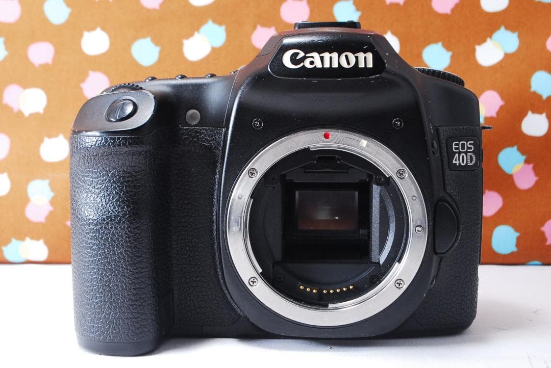 ✨初心者オススメ✨届いてすぐ使える✨Canon 40D レンズセット