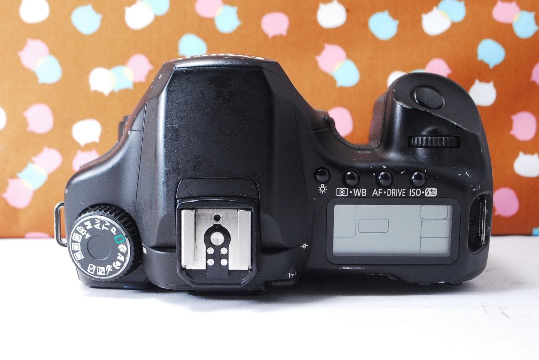 ✨初心者オススメ✨届いてすぐ使える✨Canon 40D レンズセット