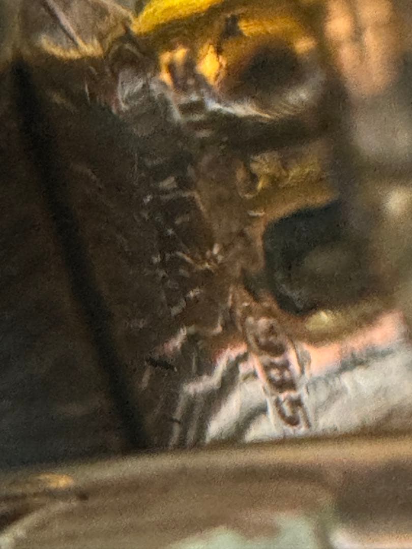 関　武比古　銀製　宝船 ガラスケース付き