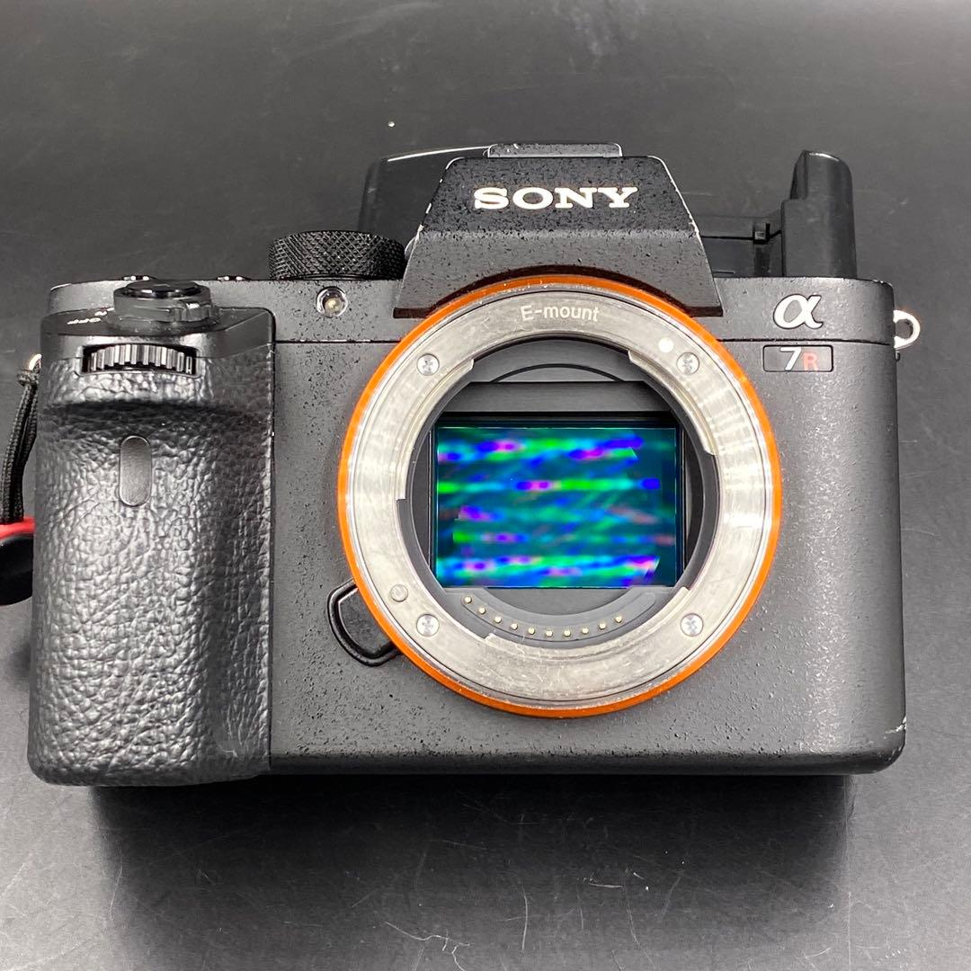 SONY A7R II モノクロ専用機＋レンズセット モノクローム
