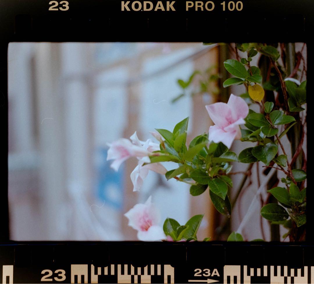 【露出計稼働】ペンタックス Pentax MX ブラック　レンズ付　操作コツ必要