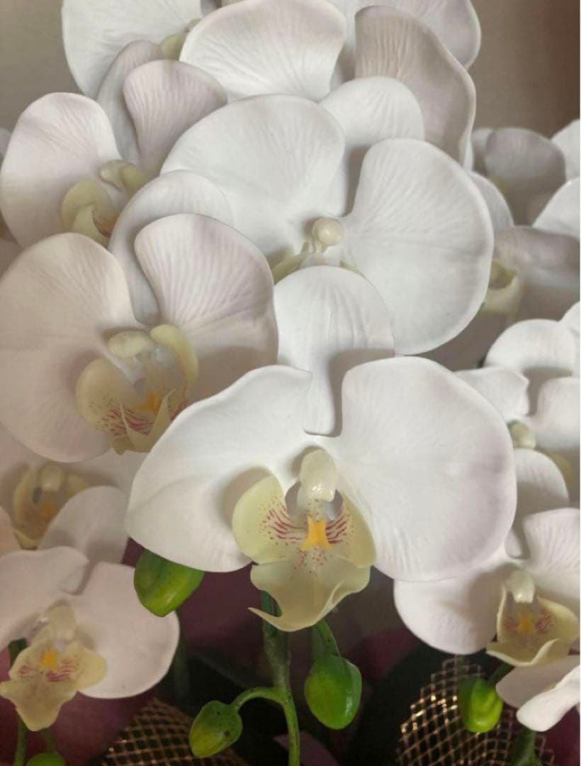 光触媒　人工観葉植物　ウォールグリーン　フェイクグリーン　リアル胡蝶蘭w'