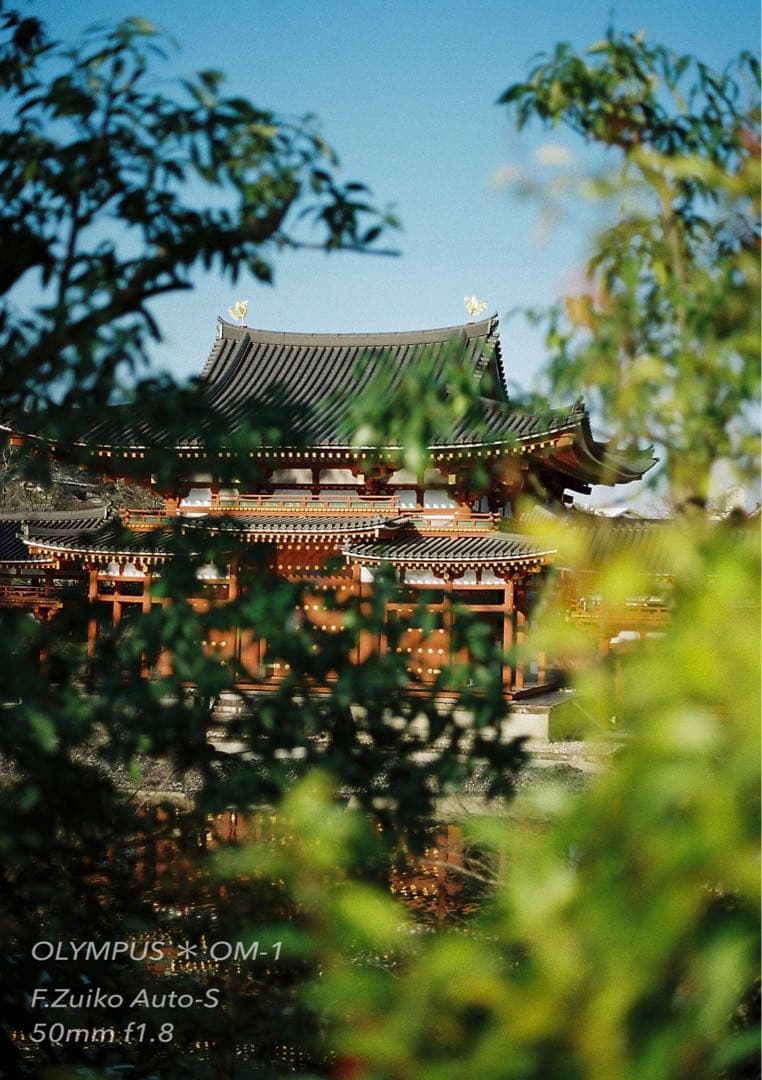 ギブリ！完動品＊初期保証！★オリンパスOM-1★フィルム入門に★作例多数