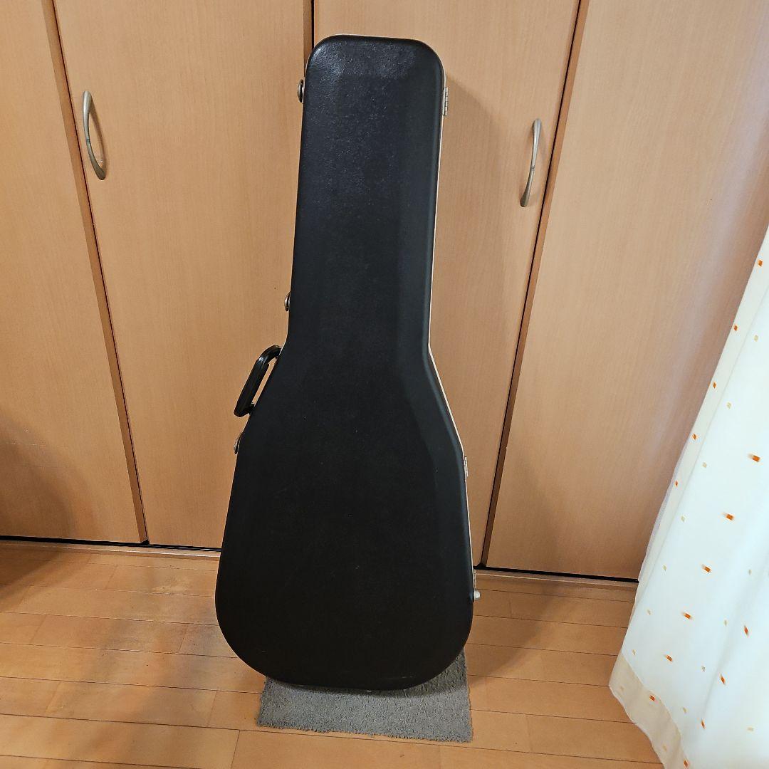 【エレアコ】The Sandpiper Deluxe アコースティックギターです