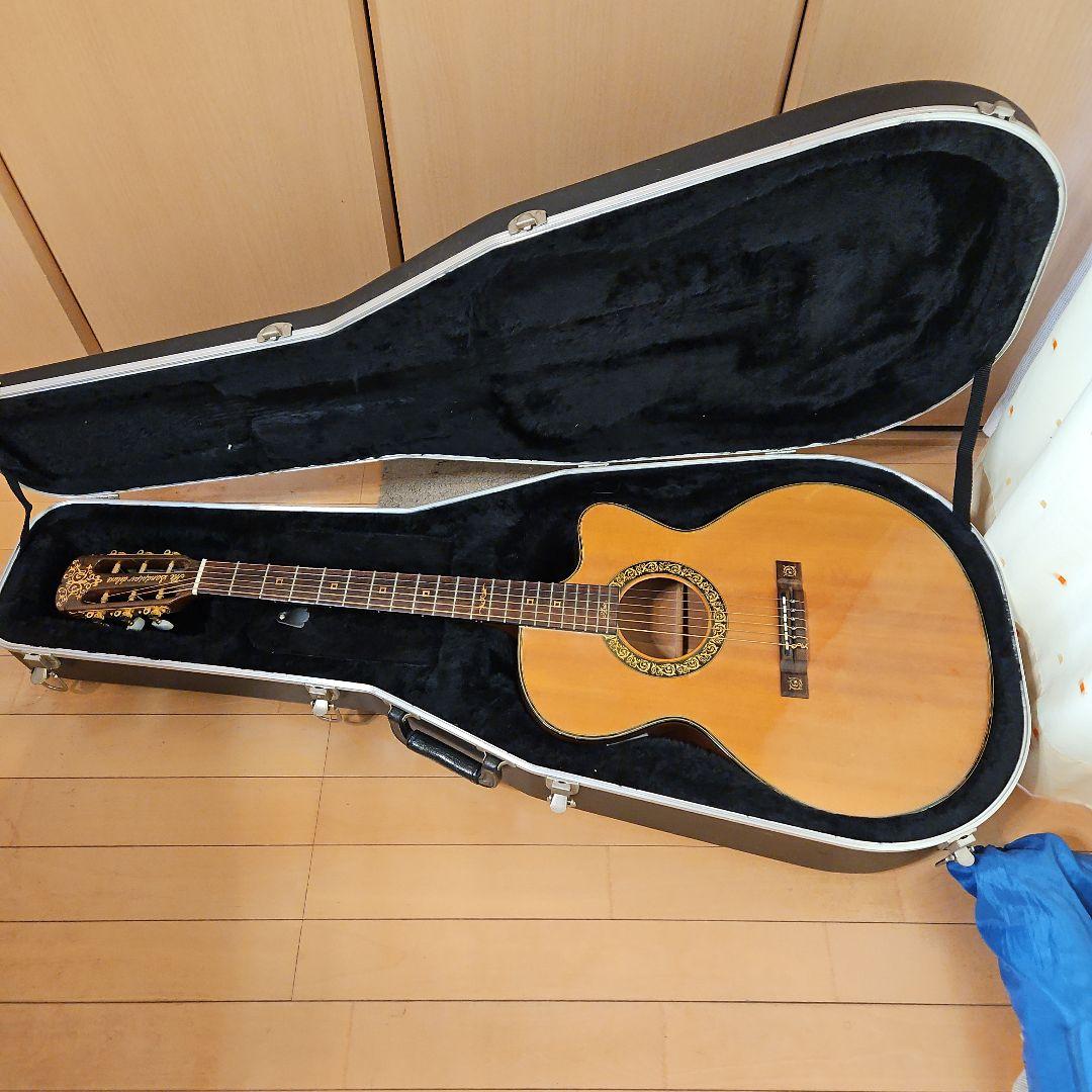 【エレアコ】The Sandpiper Deluxe アコースティックギターです