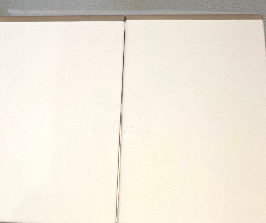 新品☆ ヤーマン 美顔器 フォトプラスシャイニーネオ YJFM18N ゴールド